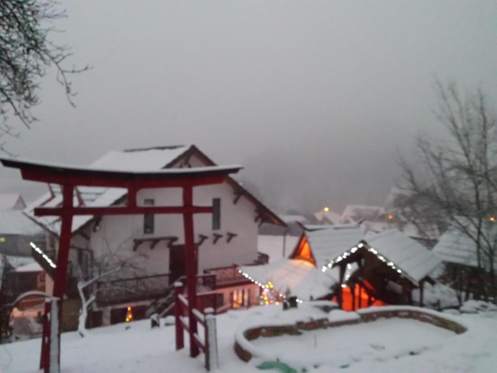 Casa Lily - Japanese Retreat Hotel Sighisoara Exterior photo